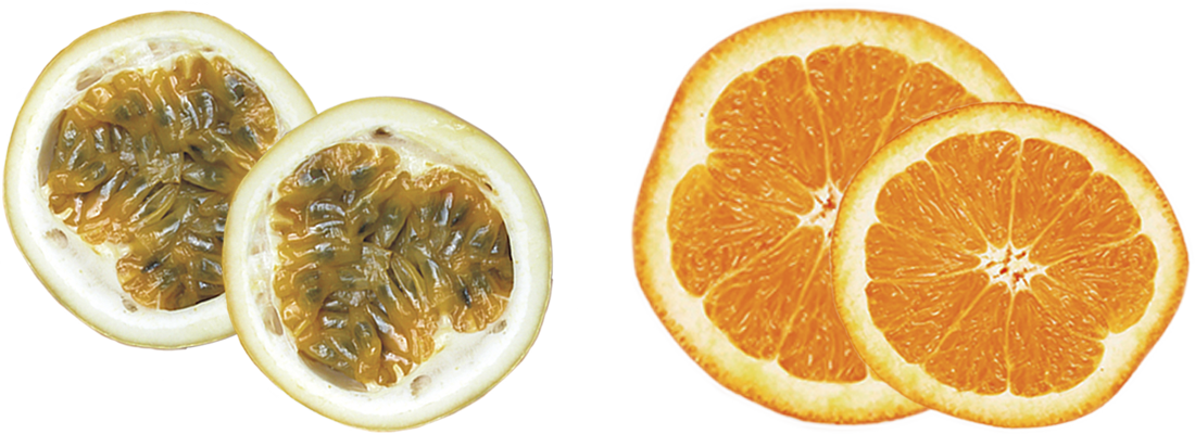 Frutis Frutalia