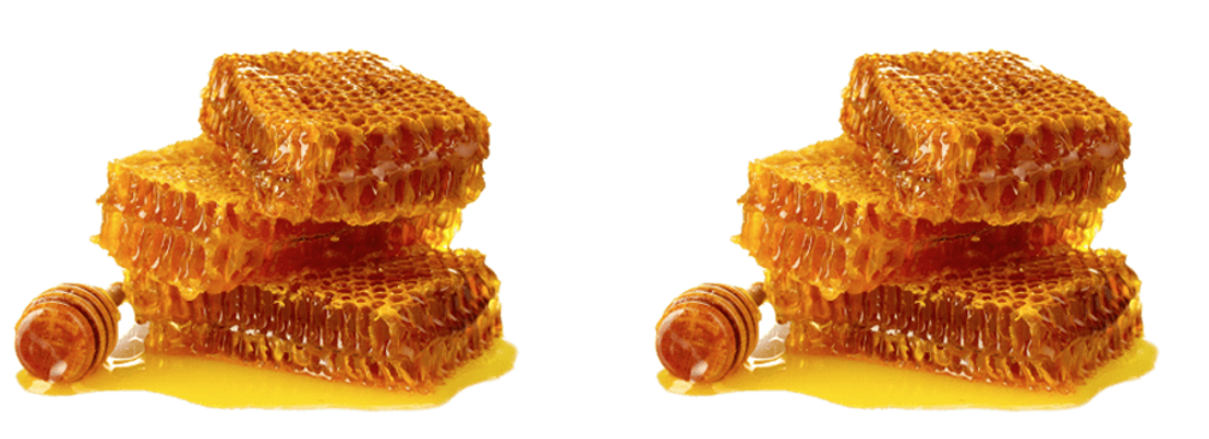 Miel de abejas Frutalia